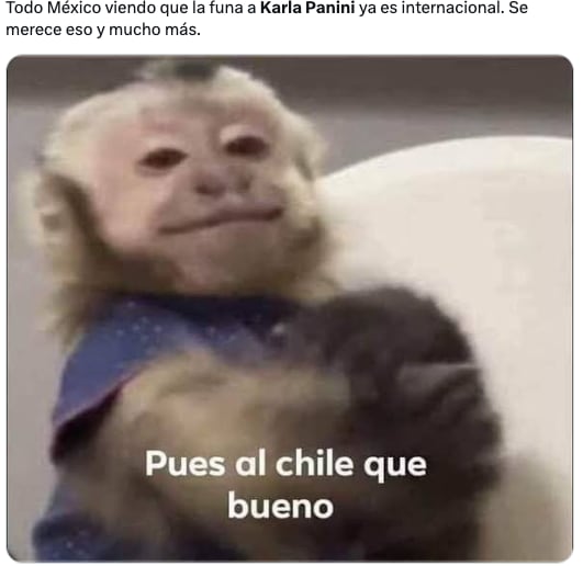 Memes celebran que Karla Panini sea odiada mundialmente