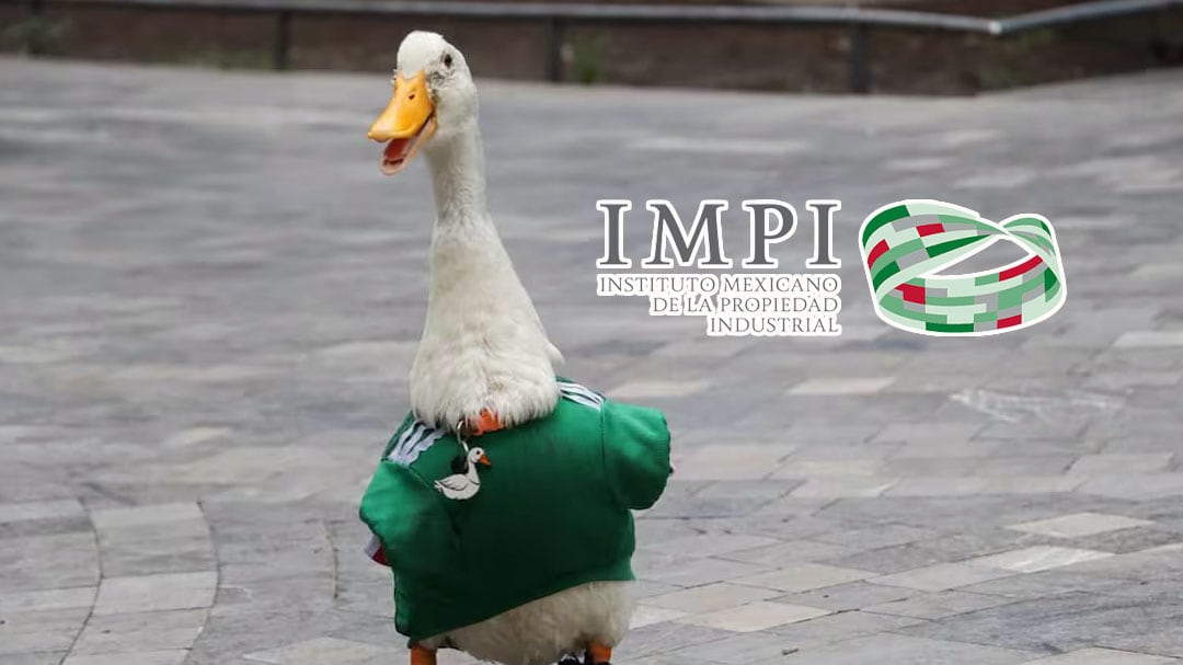 El Pato Merlín ya tiene registro de nombre e imagen ante el IMPI