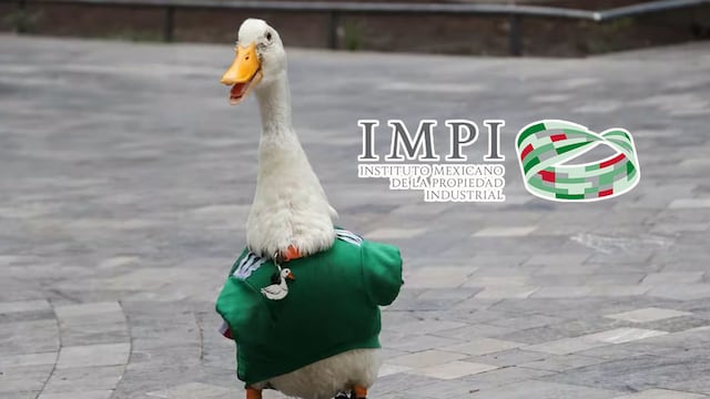 El Pato Merlín ya tiene registro de nombre e imagen ante el IMPI