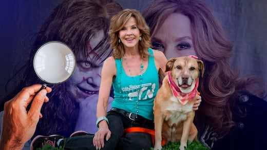 Linda Blair, estrella de El Exorcista, es investigada por un caso con más de 100 perros
