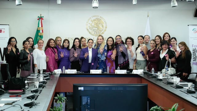 Paridad en México: mujeres llevan mensaje al Senado entre avances y pendientes.