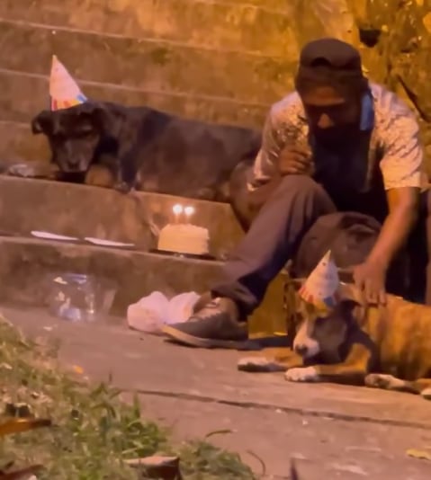 Hombre sin hogar festeja cumpleaños de sus perritos