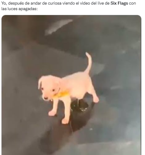 Meme sobre Six Flags México y su video persecución.