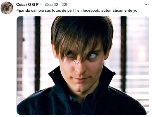 Regreso de PXNDX memes
