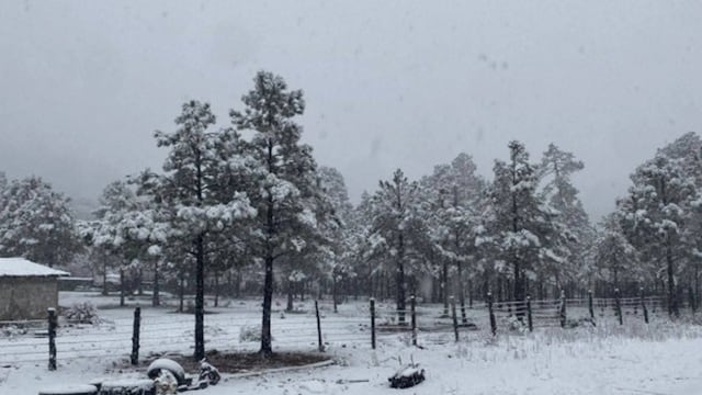 Tormenta invernal cubre de nieve a Chihuahua y Durango
