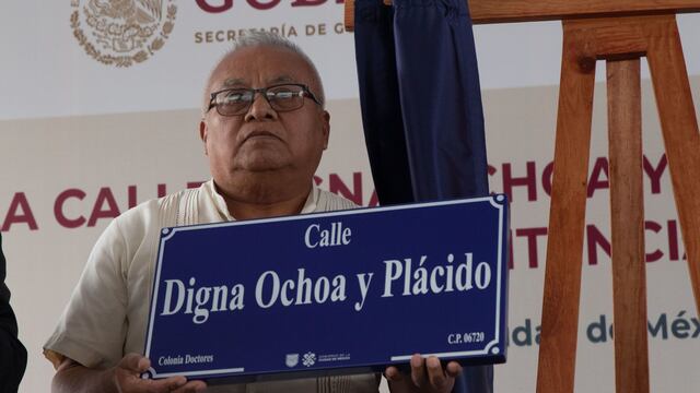 Hermano de Digna Ochoa y Plácido