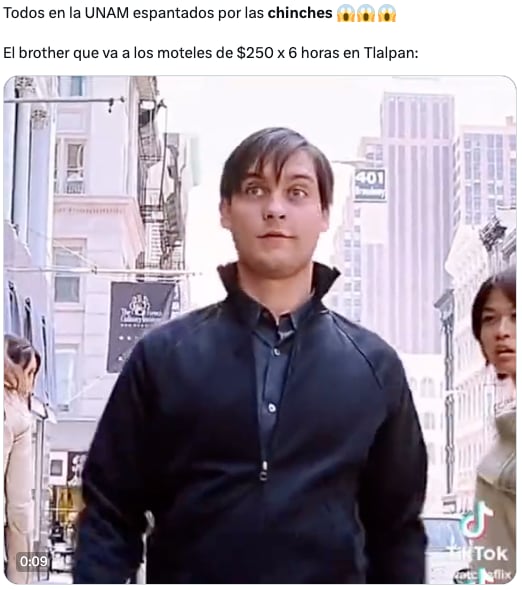 Plaga de chinches de la UNAM en CDMX desata los memes ansiosos de usuarios