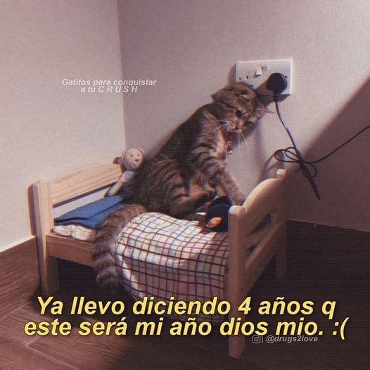 Memes de año nuevo 2023