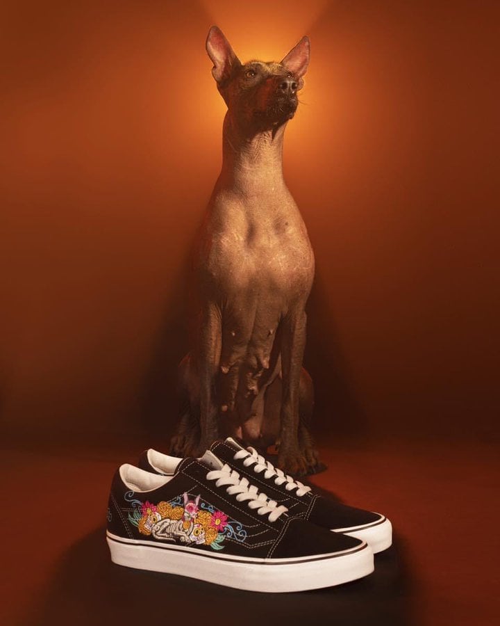 Vans Día de Muertos 2023