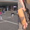 ¿Qué son las Pickpocket? El grito de advertencia para turistas se hace famoso en TikTok
