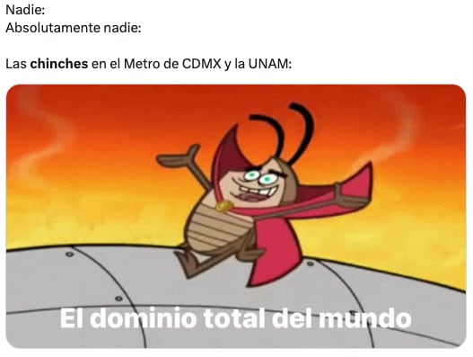 Plaga de chinches de la UNAM en CDMX desata los memes ansiosos de usuarios