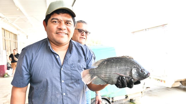 Pescando Vida proyecta venta de hasta 8 toneladas de mojarra tilapia al mes en Tabasco.