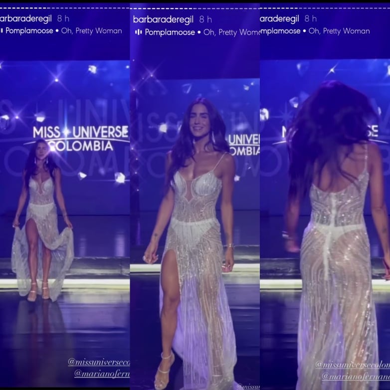 Bárbara de Regil lució un vestido transparente en Miss Universe Colombia.