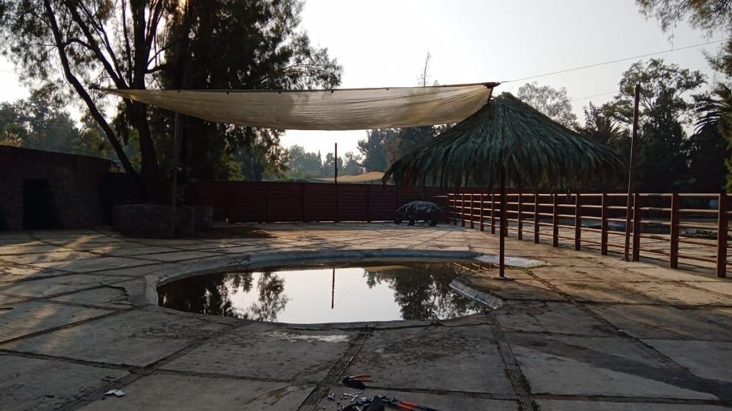 Muere ‘Inés’, la hipopótama de 50 años que vivía en el Zoológico de San Juan de Aragón