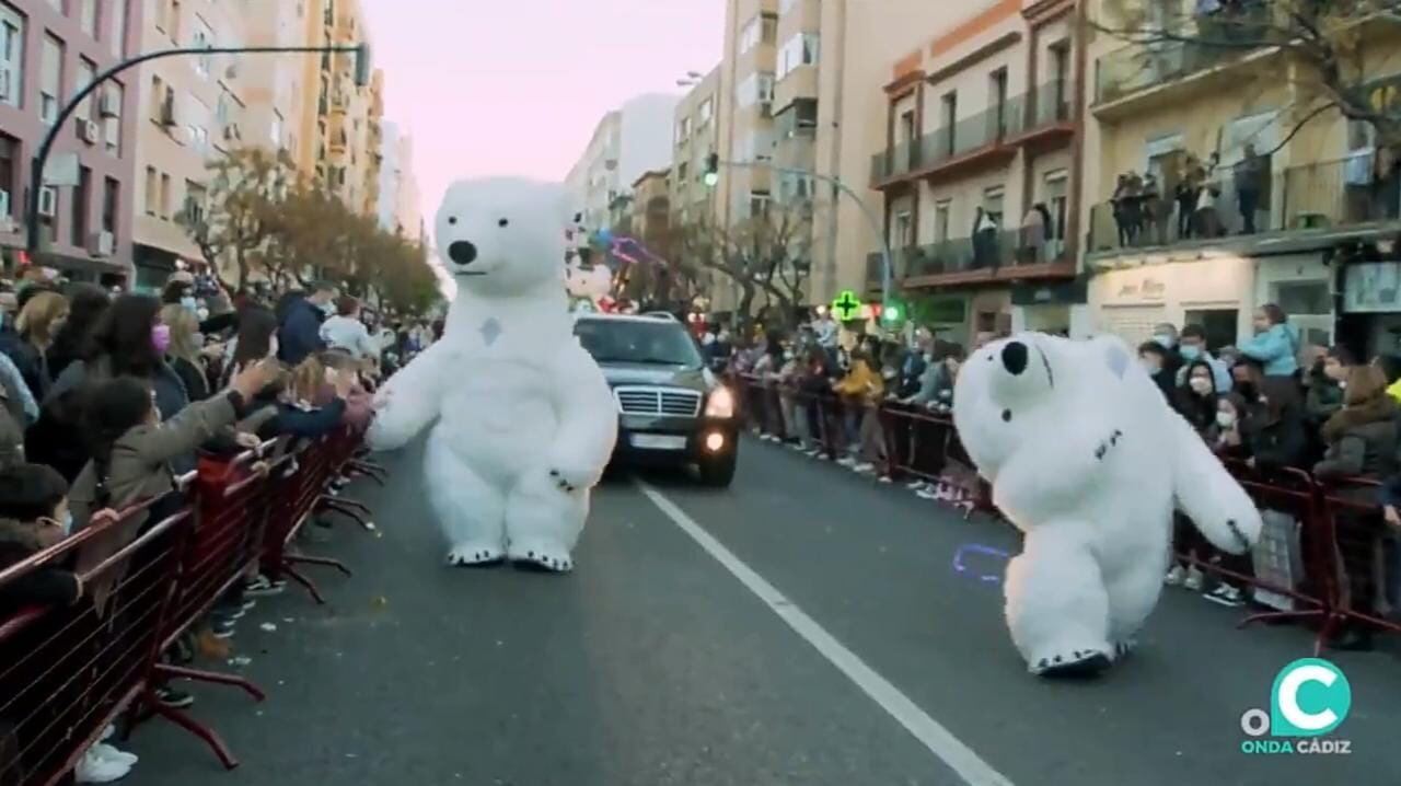 Botarga oso polar