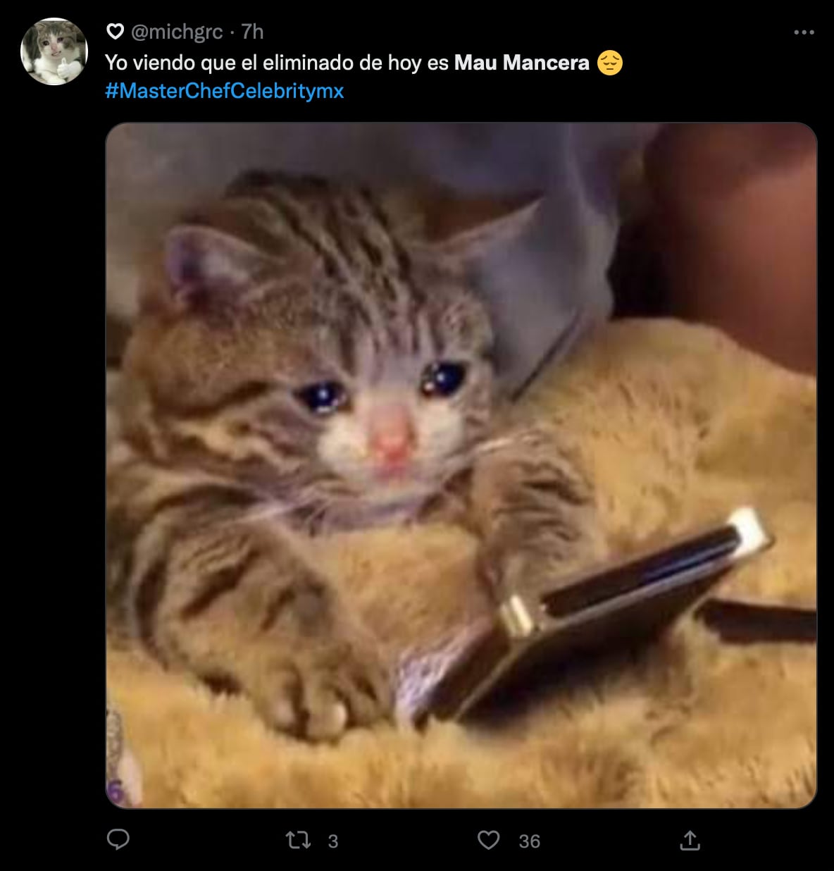 MasterChef Celebrity 2022: Mau Mancera rompe el corazón de los fans con memes