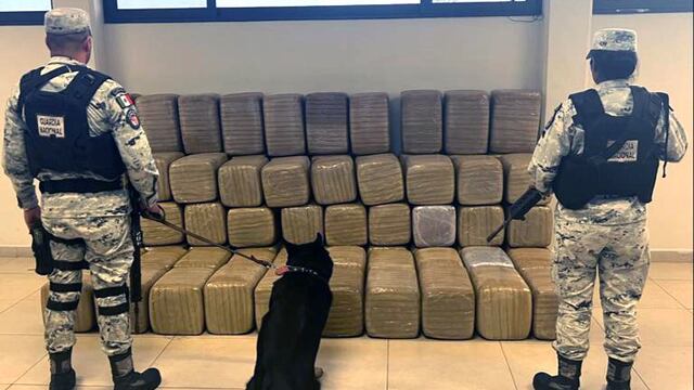 Guardia Nacional asegura 600 kilos de marihuana en San Nicolás de los Garza, Nuevo León