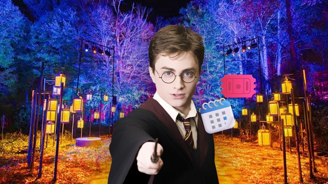 Harry Potter: La Experiencia del Bosque Prohibido en Parque Naucalli; fechas y precios de boletos