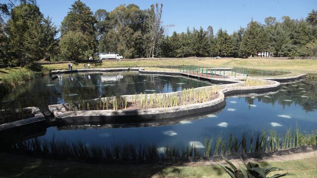 Inauguran Bosque del Ajolote Puebla