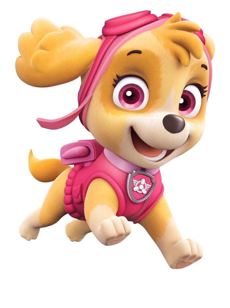 Skye de Paw Patrol