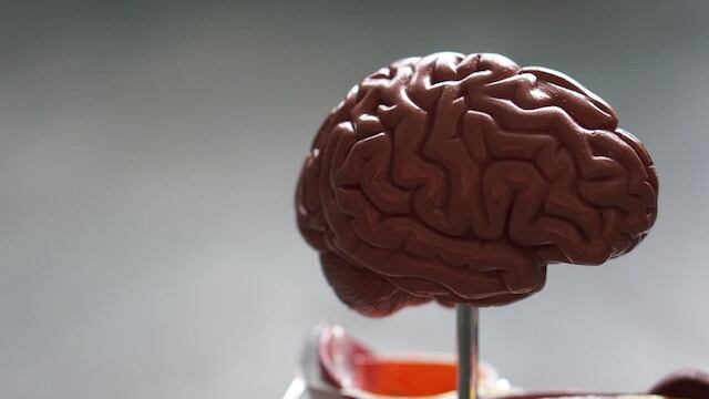 VIDEO: Le operan el cerebro mientras está despierto y tocando el piano