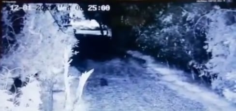 ¿Era un duende? Una extraña y criatura fue captada en una finca de Monterrey