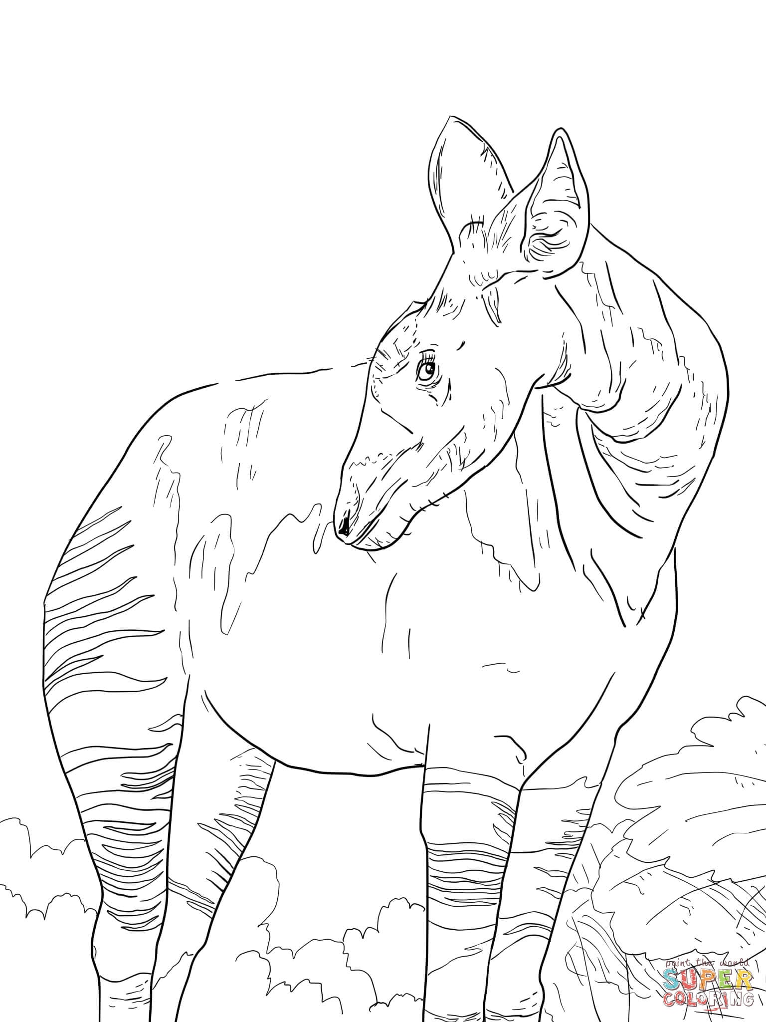 Okapi dibujo Día Mundial del Okapi