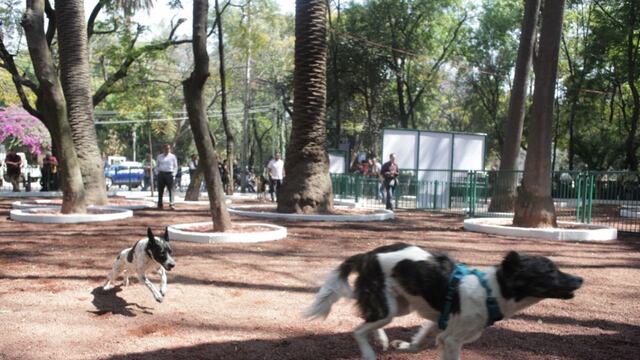Parque México en la CDMX