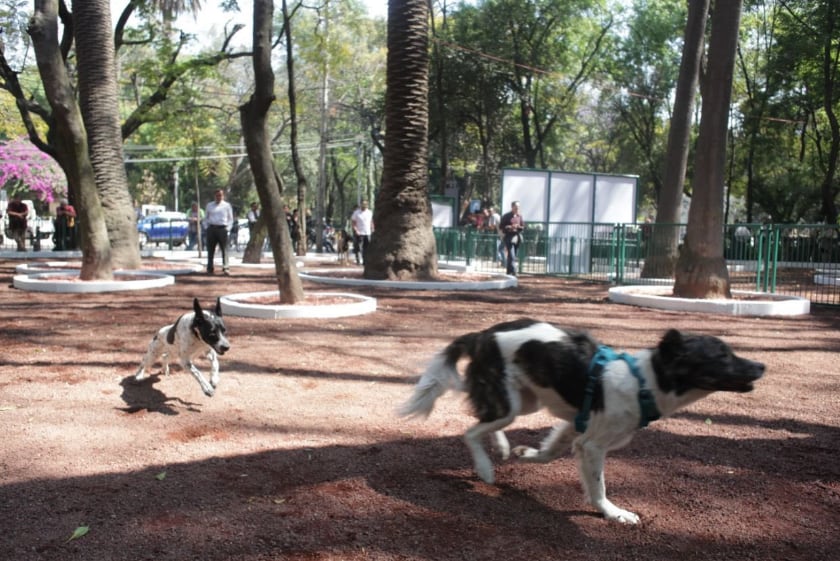 Parque México en la CDMX