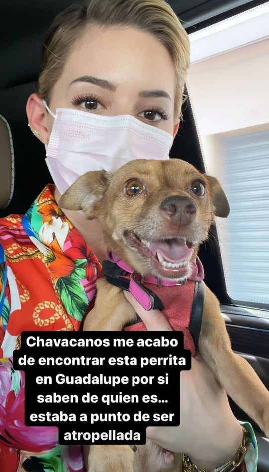 Mariana Rodríguez y la perrita