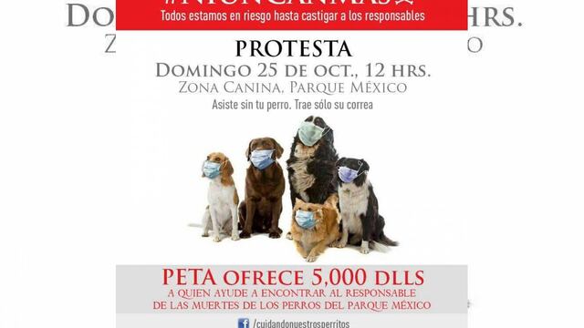 La cita es en la zona canina del Parque México donde se localiza el epicentro de los envenenamientos en contra de las mascotas.