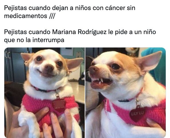 Meme de Mariana Rodríguez