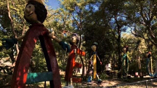 Revela en TikTok que vio caminar a letra en parque y descubre que no fue la única