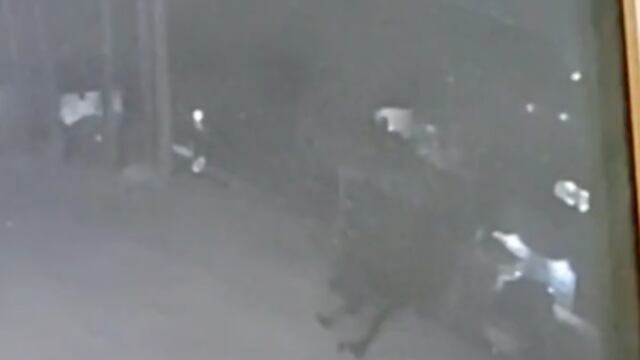 Captan a nahual en Tijuana