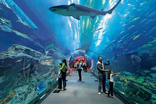 Acuario de Veracruz