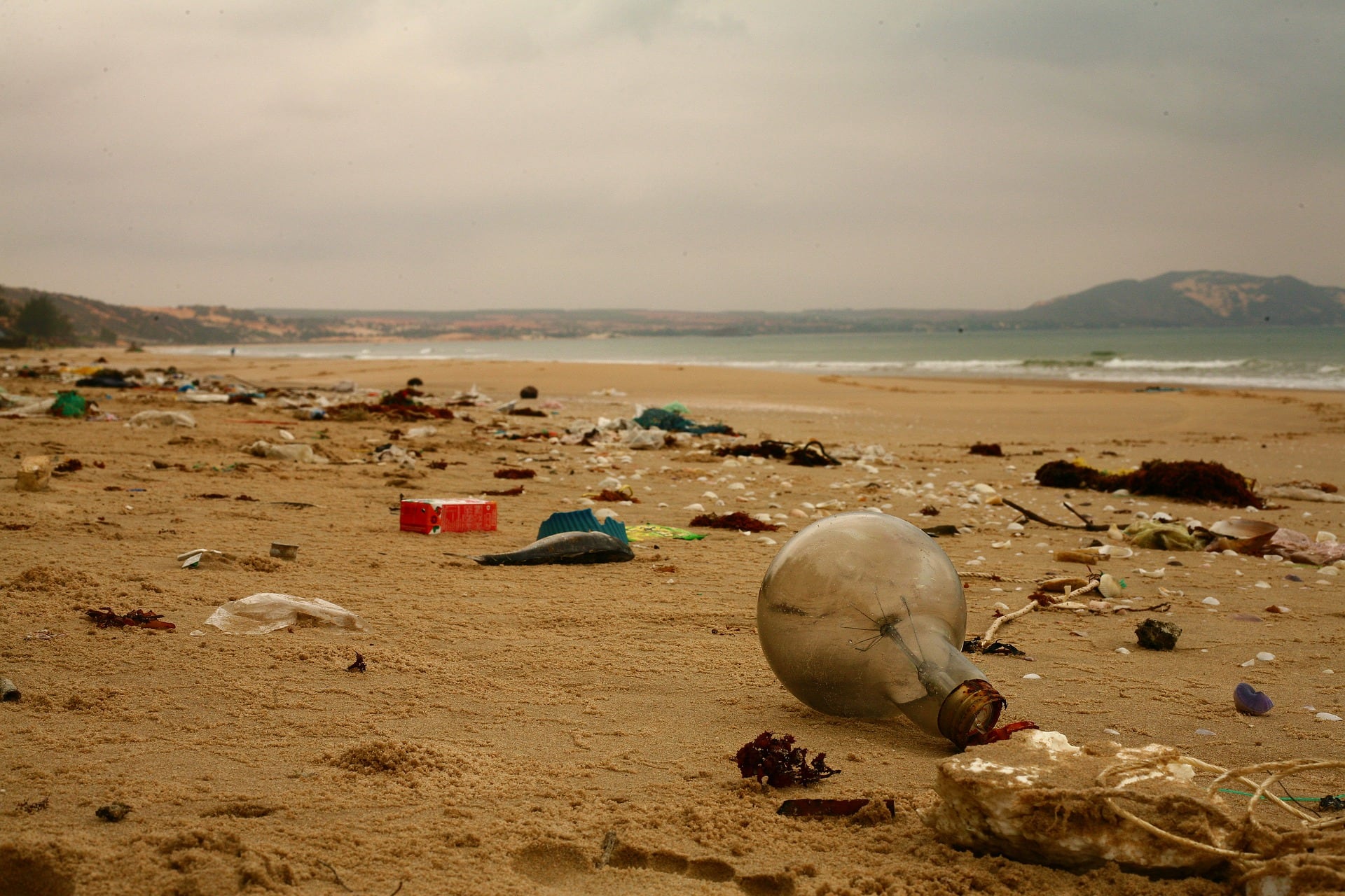 Contaminación del océano