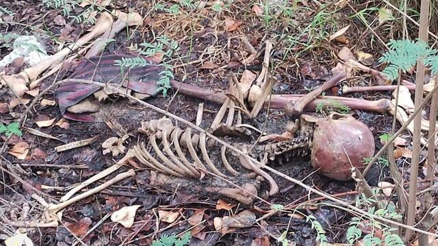 Madres Buscadoras de Sonora reporta hallazgo de osamenta en Obregón