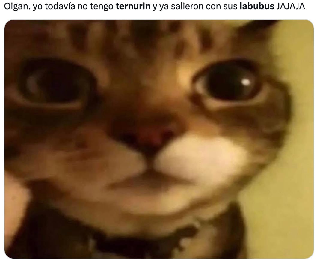 Memes de Ternurines contra Labubus