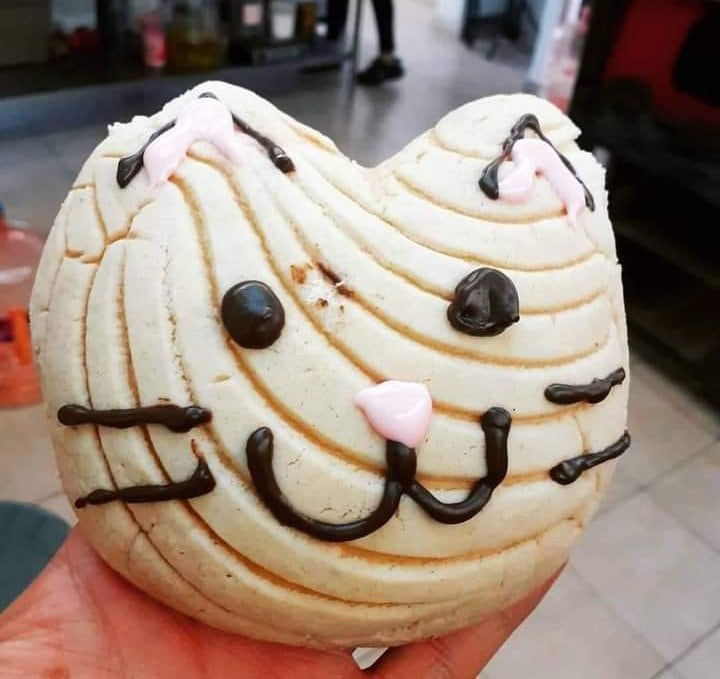 Michiconcha de vainilla