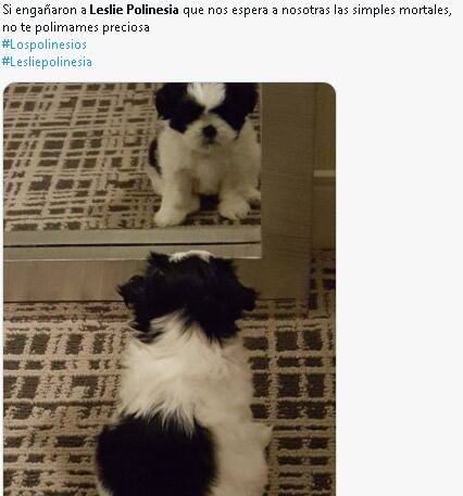 Fans de Lesslie Polinesia reaccionan a su novio infiel.