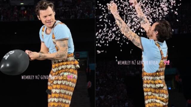 Pareja le pidió ayuda a Harry Styles con una revelación de género y así se vivió el momento en pleno concierto