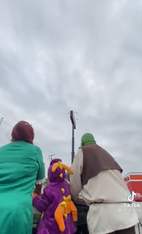 Novios disfrazados de Shrek y Fiona