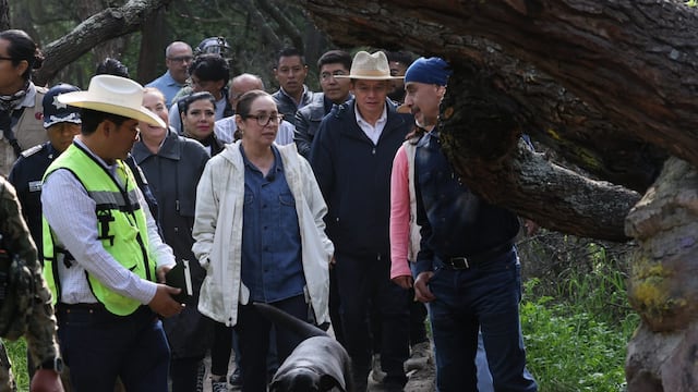 Durante un recorrido por la barranca de Ehécatl, la presidenta municipal Azucena Cisneros Coss recordó que se ha realizado la limpieza en diversos espacios de Ecatepec