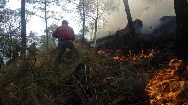 Brigadistas trabajan en el cerro Cuauhtenco.