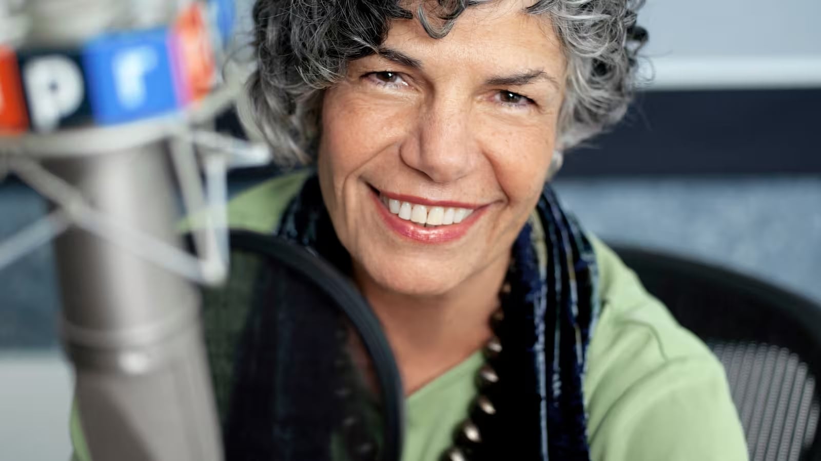 ¿Quién fue Susan Stamberg?