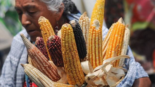 Marcha en defensa del maíz. Aumento de importaciones.