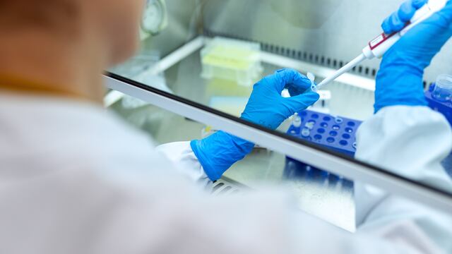 Covid-19 no vuelve a dar