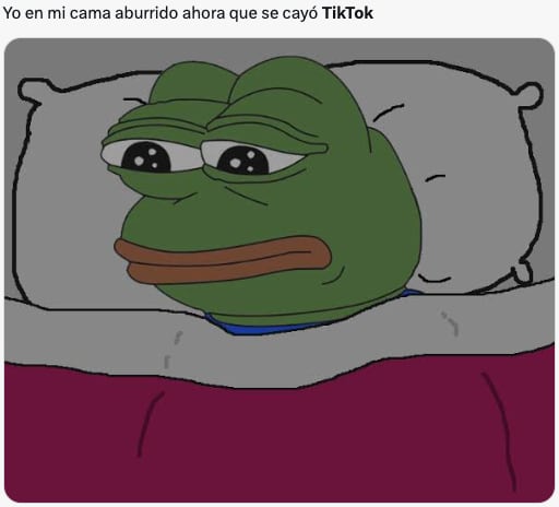 Memes de la caída de TikTok