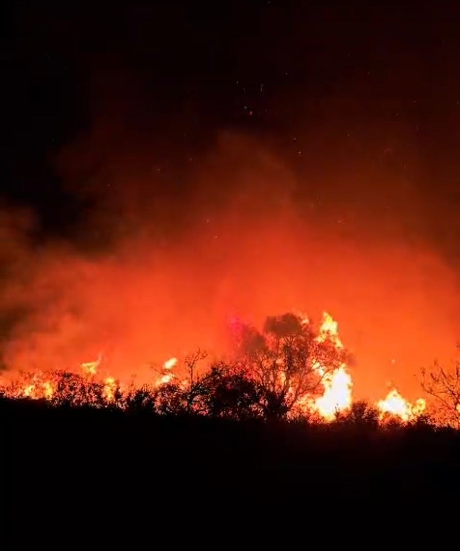 Incendio en Jardines del Recuerdo
