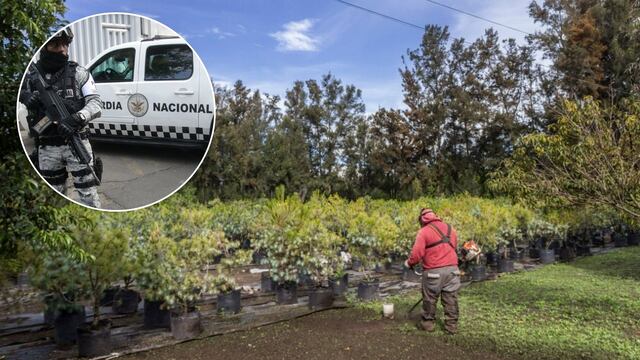 Vecinos frenaron construcción de cuartel de la Guardia Nacional en vivero